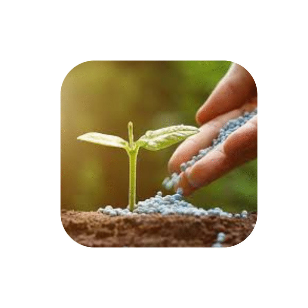 Home Untitled Design 3 1024x1024