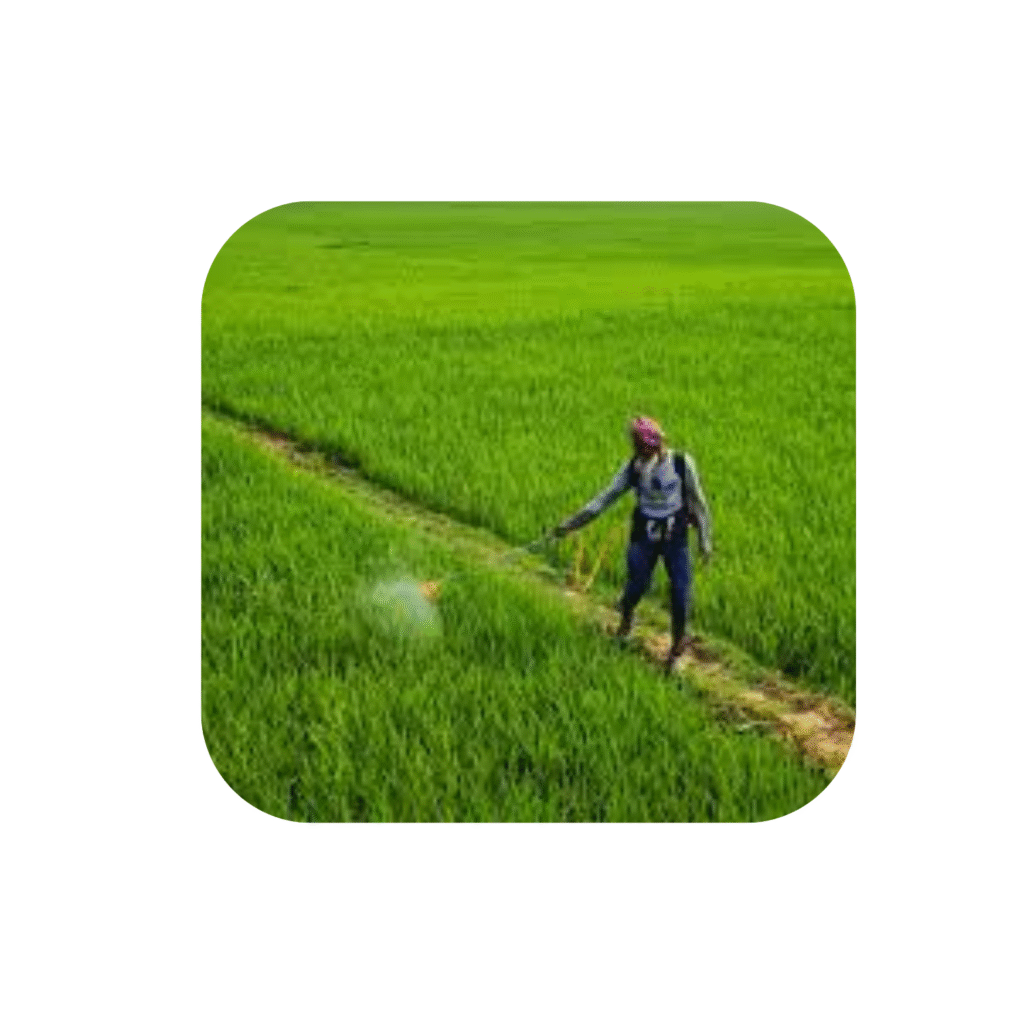 Home Untitled Design 4 1024x1024