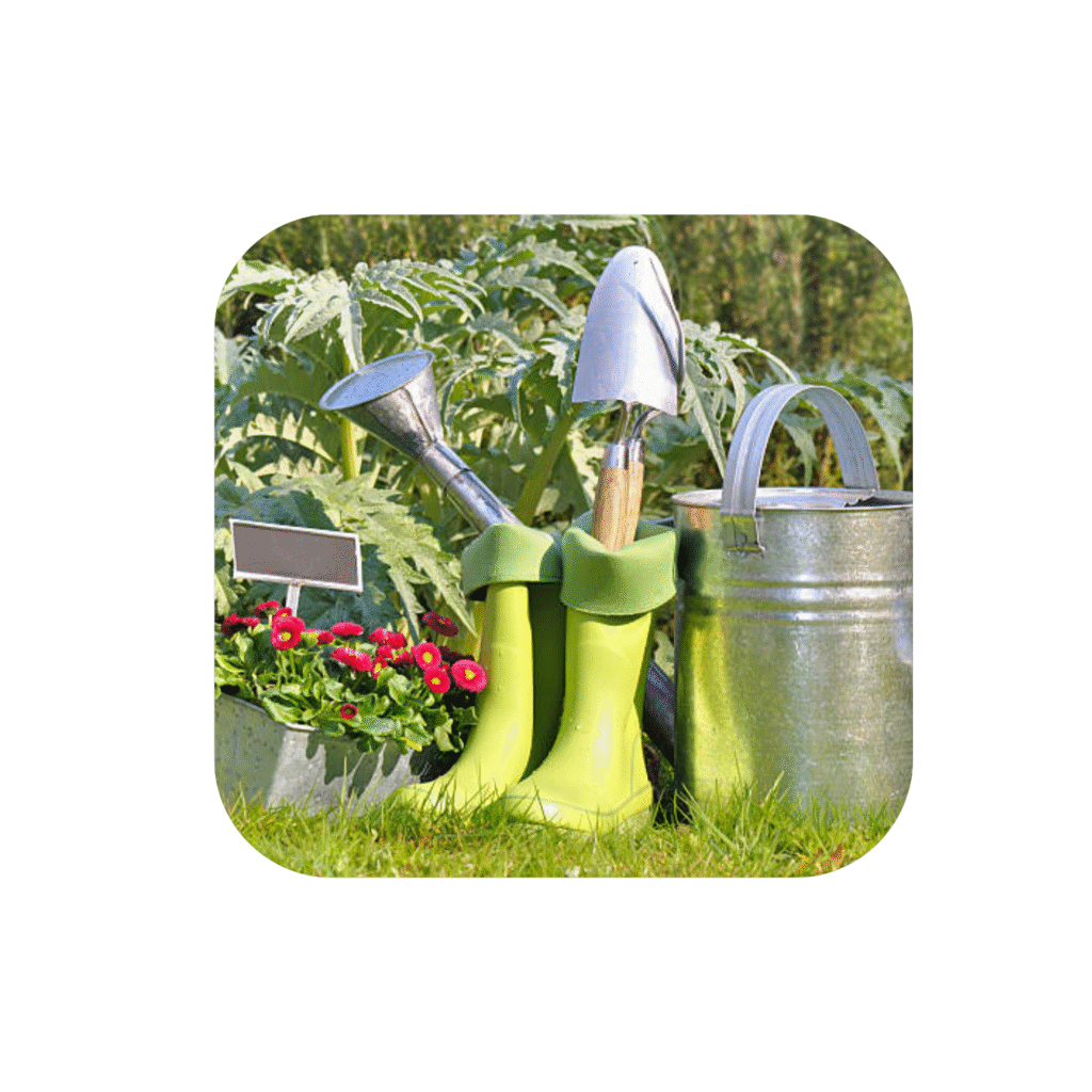 untitled design (5) untitled design (5)